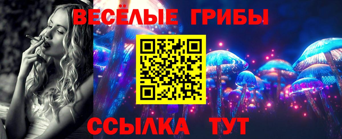 Галлюциногенные грибы Psilocybe Псков